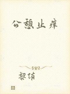 公憩止痒封面