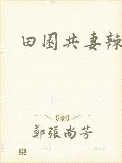 田园共妻辣封面