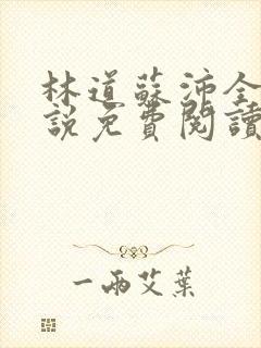 林道苏沛全的小说免费阅读笔趣阁