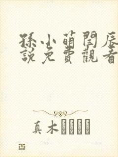 孙小萌闫辰的小说免费观看封面