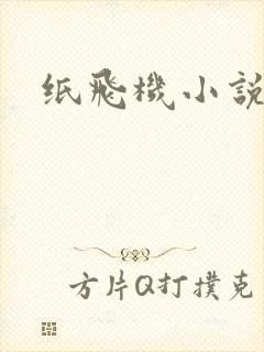 纸飞机小说