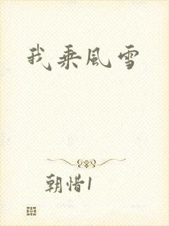 我乘风雪