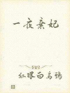 一夜弃妃