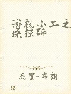 游戏小工之元素操控师封面