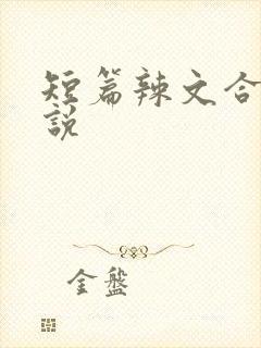 短篇辣文合集小说