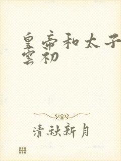 皇帝和太子妃h云初