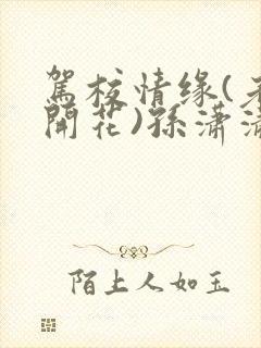 驾校情缘(老树开花)孙潇潇笔趣阁