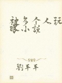 被多个人玩屁股眼小说封面