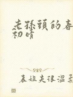 老孙头的春天林初晴封面