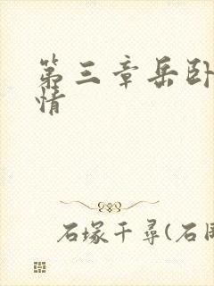 第三章岳卧室激情