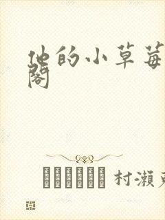 他的小草莓笔趣阁