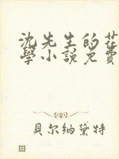 沈先生的花式教学小说免费