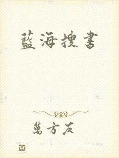 蓝海搜书封面