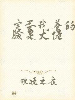 完蛋我养的小白脸是大佬