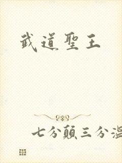 武道圣王