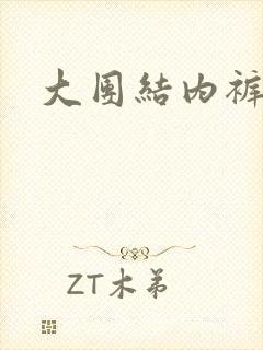 大团结内裤奇缘封面