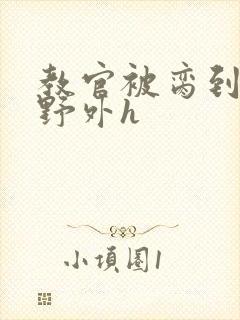 教官被脔到高潮野外h