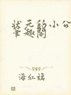 状元的小公主 笔趣阁