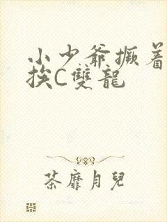 小少爷撅着屁股挨C双龙