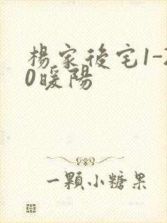 杨家后宅1-20暖阳