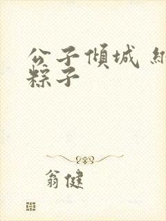 公子倾城 维和粽子