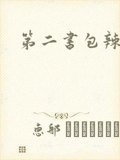 第二书包辣文