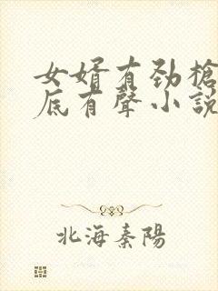 女婿有劲枪枪到底有声小说