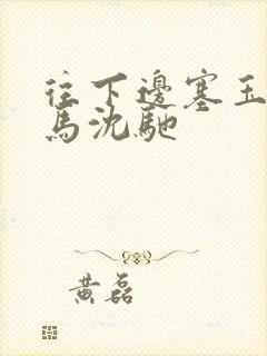 往下边塞玉器骑马沈驰封面