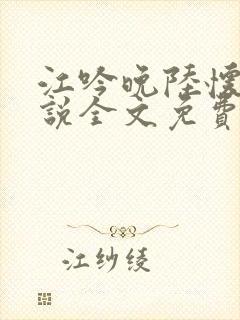 江吟晚陆怀瑾小说全文免费阅读全文