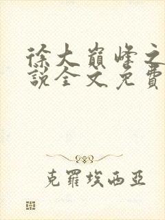 徐大巅峰之路小说全文免费阅读封面