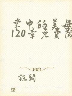 掌中的美母版主120章免费阅读封面