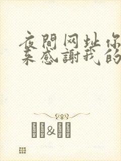 夜间网址你会回来感谢我的