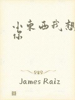 小东西我想弄坏你