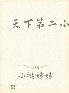 天下第二小说