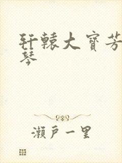 轩辕大宝芳菲雅琴