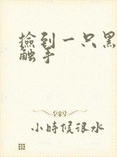 捡到一只黑心小触手