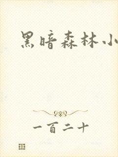 黑暗森林小说