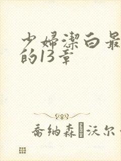 少妇洁白最刺激的13章封面
