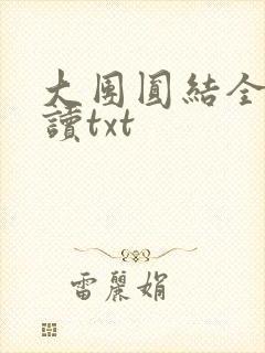 大团圆结全文阅读txt封面