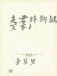 夫君摔断腿后(完本)