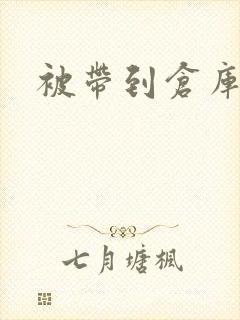 被带到仓库糟蹋封面