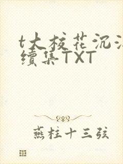 t大校花沉浮录续集TXT封面