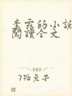 李霖的小说免费阅读全文封面