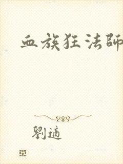 血族狂法师封面