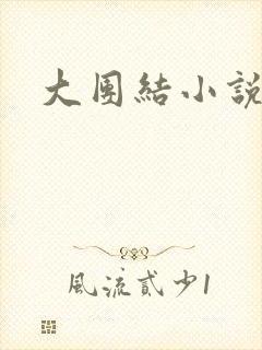 大团结小说下载