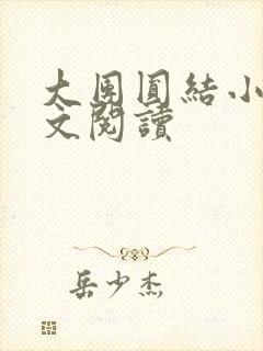 大团圆结小茹全文阅读