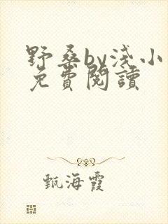 野桑by浅小说免费阅读封面