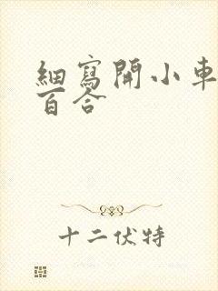 细写开小车车的百合