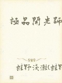 极品开光师封面