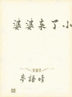 婆婆来了小说封面